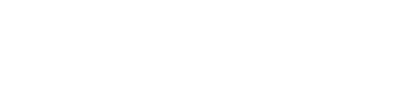 Meta